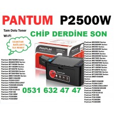 Pantum P2500W RESET